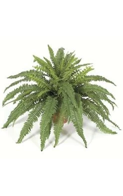 42 Inches Boston Fern Bush - 55 Green Leaves - 42 Inches Width- FIRE RETARDANT