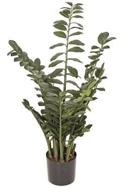 PR-101710 43 Inches Zamia Plant - 260 Green Leaves - Weighted Base