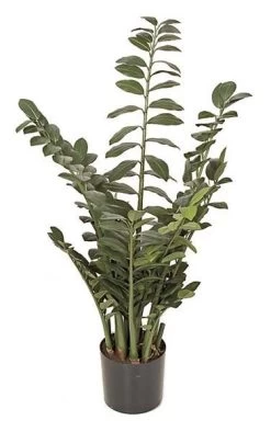 43 Inches Artificial Zamia Plant - 12 Stems - 260 Green Leaves - Weighted Base