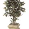 4.5 Feet Capensia Tree - Natural Trunks - 990 Leaves - Green/Red