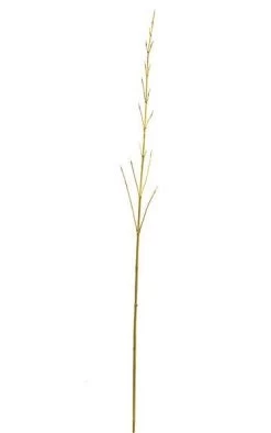 46 Inches Plastic Bamboo Twig - Beige