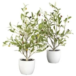 18" Olive Silk Tree W/Vase (Set Of 2)