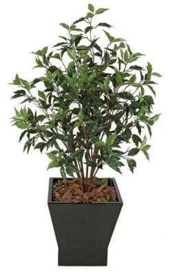 48 Inches Ficus Bush - 5 Stems - Green - 31 Inches Foliage Height - 30 Inches Width