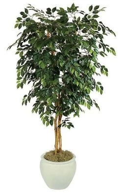 5 Feet Ficus Tree - Natural Trunks - 1,140 Leaves - Green