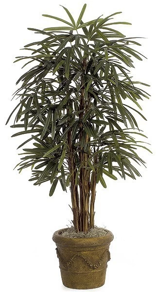 5 Feet Lady Palm - Natural Trunks - 90 Fronds - Green- FIRE RETARDANT