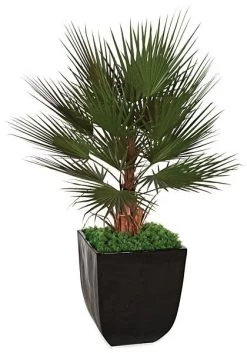 5 Feet Plastic Washingtonia Palm Tree - Natural Boot Trunk - 17 Green Fronds
