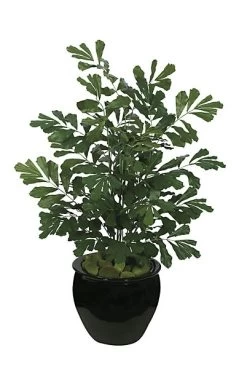 50 Inches Sugar Palm - 35 Green Fronds- Green - FIRE RETARDANT