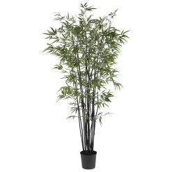 6.5 Feet Black Bamboo Tree With Natural Bamboo Trunks