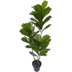 65" Fiddle Leaf Tree UV Resistant (Indoor/Outdoor)