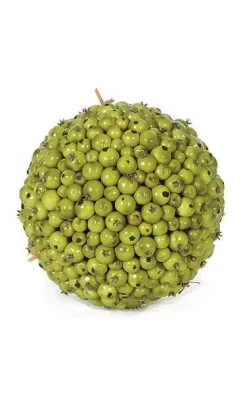 5.5 Inches Green Berry Ball - 470 Berries