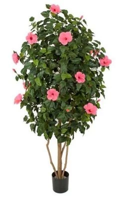 5.5 Feet Hibiscus Tree - Natural Trunk - Hot Pink Flowers