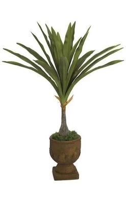 56 Inches Dragon Tree - 25 Green Leaves