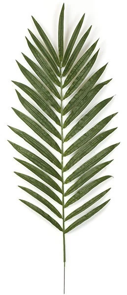 56 Inches Kentia Palm Branch - 28 Green Leaves - 6 1/4 Inches Metal Stem