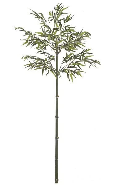 Bamboo Palm - Natural Cane - Tutone Green- FIRE RETARDANT - Image 2