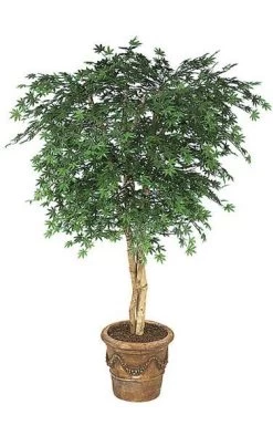 6 Feet Outdoor Japanese Maple Tree - Natural Trunks - 1,944 Leaves