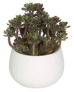 6 Inches Plastic Echeveria And Sedum In Round White Pot - 34 Green Leaves