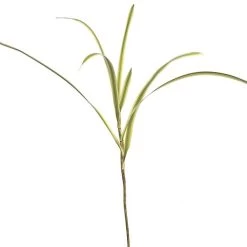 60 Inches Plastic Flat Grass Plant - Green/Cream
