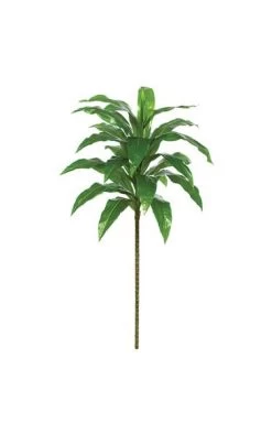 60 Inches Soft Touch Dracaena Tree - 25 Green Leaves - Bare Stem