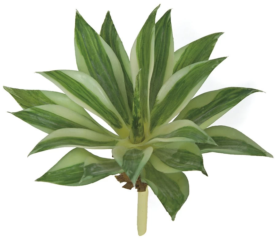 Earthflora's 6 Inch Agave Pick - Image 3