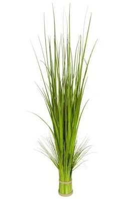 61 Inches PVC Onion Grass Bundle - Tutone Green - 5 Inches Round Base - 24 Inches Width