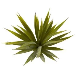 Mini Spiky Agave Succulent Plant (Set Of 12)