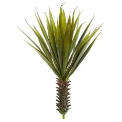 Spiky Agave Succulent Plant (Set Of 2)