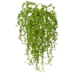 Senecio Artificial Succulent (Set Of 3)