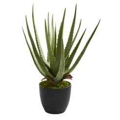 18 Inches Aloe Artificial Plant