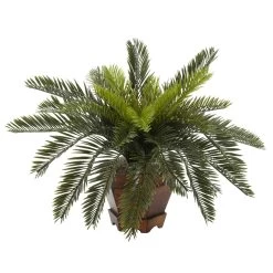 Cycas W/Hexagon Vase Silk Plant