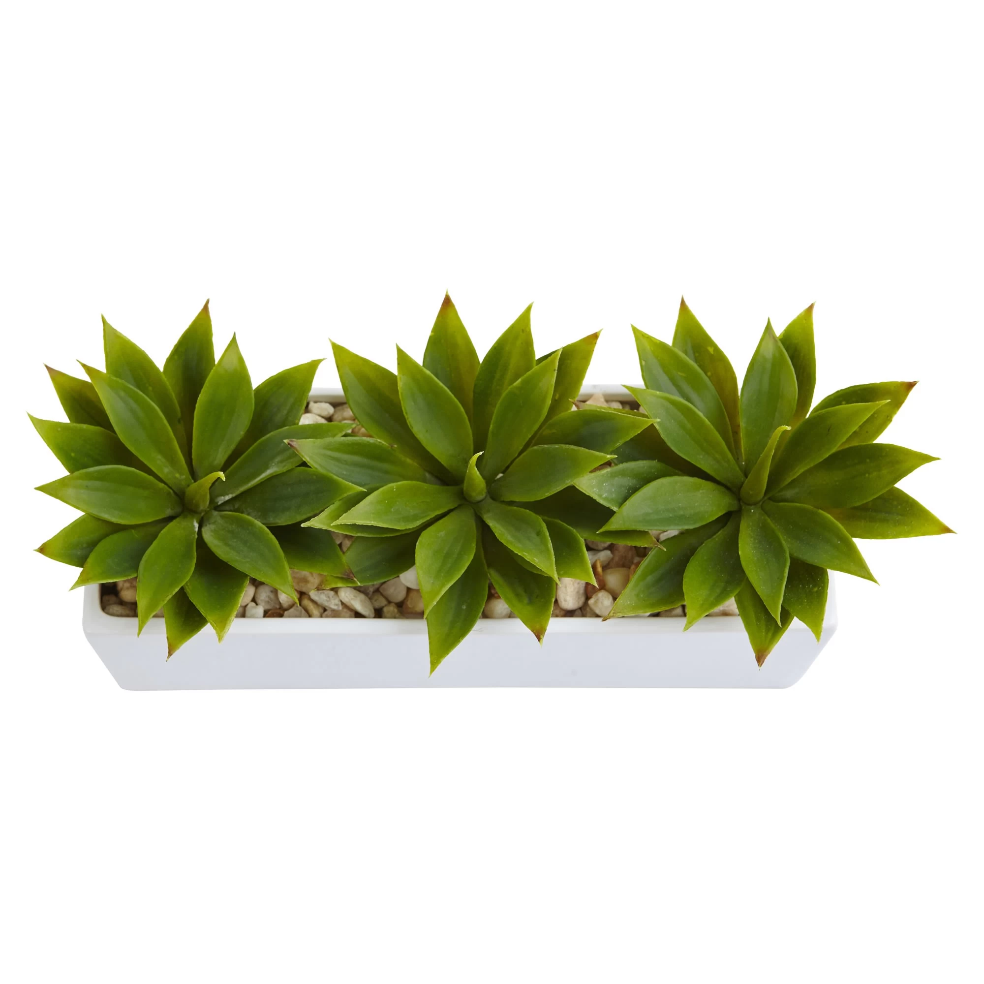 Agave Succulent In Rectangular Planter - Image 3