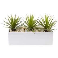 Mini Agave In Rectangular Ceramic