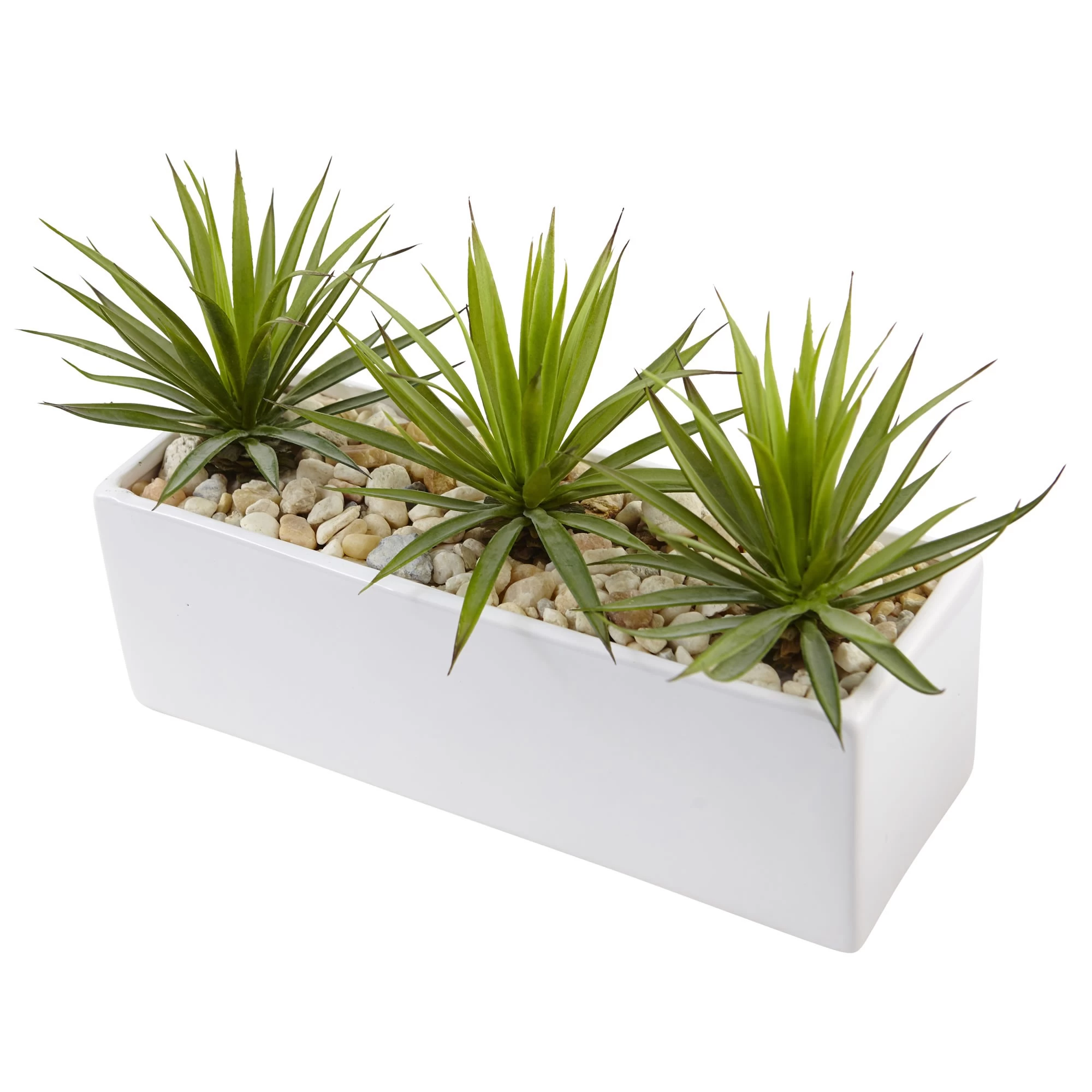 Mini Agave In Rectangular Ceramic - Image 2