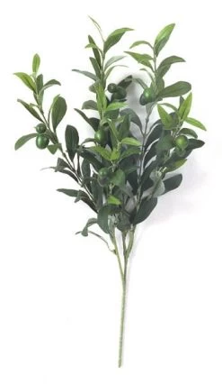 Earthflora's 23 Inches Olive Branch - 128 Leaves - 12 Green Fruit - FIRE RETARDANT
