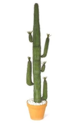 Plastic Saguaro Cactus - Green - Assembly Required - Bare Stem