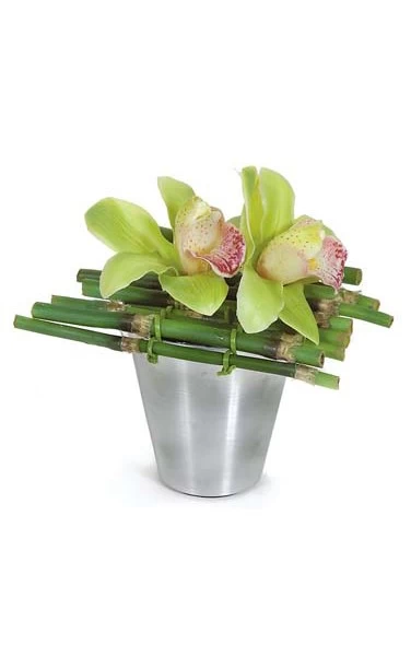 7 Inches X 6 Inches Potted Cattleya Flower On Bamboo In Silver Pot