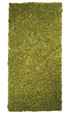 71 Inches X 36 Inches Styrofoam Moss Mat - Tutone Green
