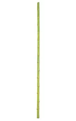 72 Inches Plastic Bamboo Pole - Light Green