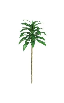 72 Inches Soft Touch Corn Dracaena Tree - 29 Green Leaves - Bare Stem