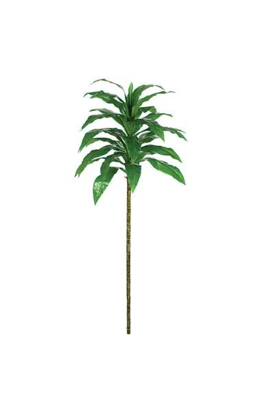 72 Inches Soft Touch Corn Dracaena Tree - 29 Green Leaves - Bare Stem