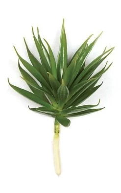 7.5 Inches Plastic Agave Pick - Green - Bare Stem - FIRE RETARDANT