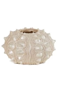 Polyresin Shell Planter - 4 Inches Inside Height - 2 1/2 Inches Opening - Cream