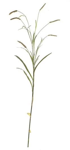 8 Feet Foxtail Spray - Green/Mauve