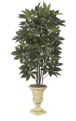 8 Feet Schefflera Tree - Natural Trunks - Green - Weighted Base
