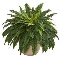 22" Boston Fern Artificial Plant In Sandstone Planter