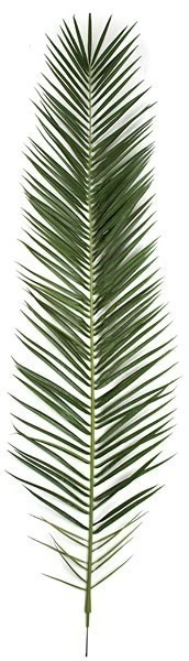 87.5 Inches Phoenix Palm Frond - 126 Tutone Green Leaves - FIRE RETARDANT