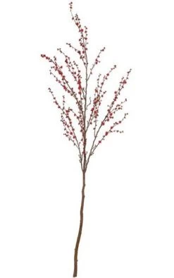 9 Feet Plum Tree - 40 Inches Stem - 35 Inches Width