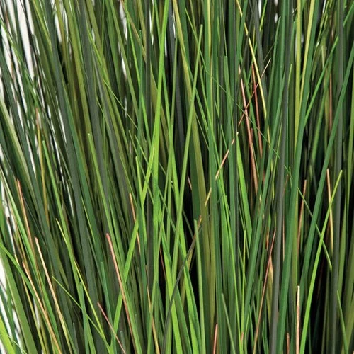60 Inches Pvc Mixed Green Onion Grass Bush - Image 2