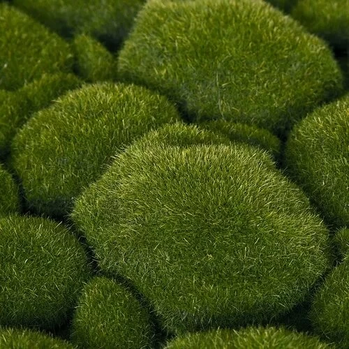 20 Inch X 20 Inch Green Moss Mat - Image 4
