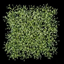 9.75 Inch X 9.75 Inch Gypsophilia Wall / Floor Mat