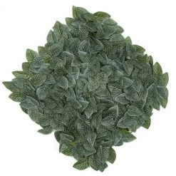 20 Inch X 20 Inch Soft Touch Fittonia Leaf Wall Mat
